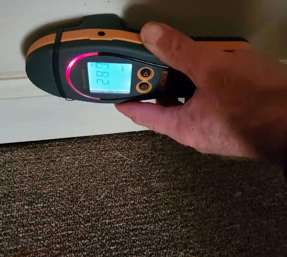 Moisture detection at baseboard during Sewage Cleanup & Sanitation in Roseville